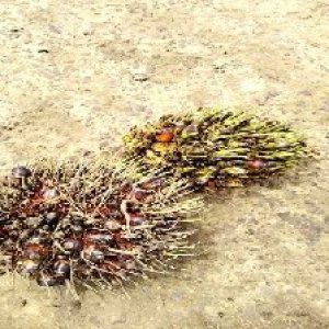 defect_test (212).jpg