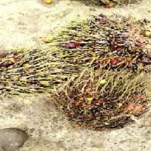 defect_test (215).jpg