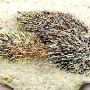 defect_test (217).jpg