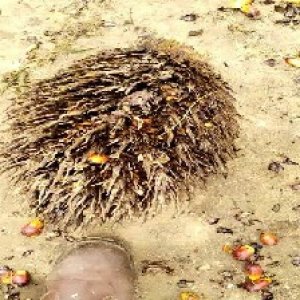 defect_test (22).jpg