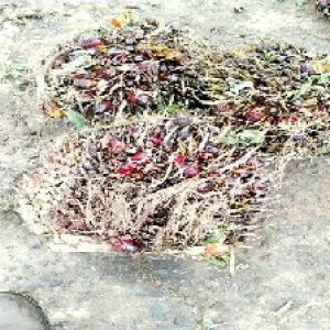 defect_test (221).jpg