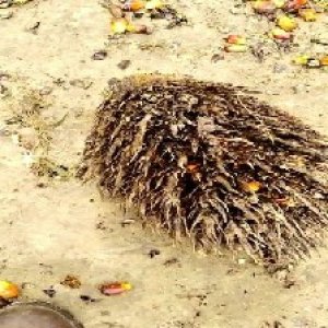 defect_test (24).jpg