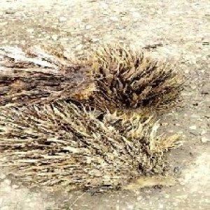 defect_test (26).jpg