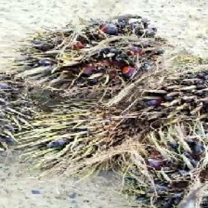 defect_test (27).jpg