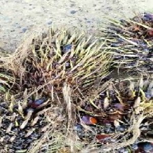 defect_test (28).jpg