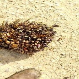 defect_test (77).jpg