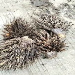 defect_test (82).jpg