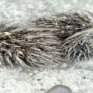 defect_test (89).jpg