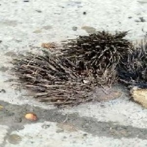 defect_test (90).jpg