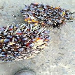 defect_test (94).jpg