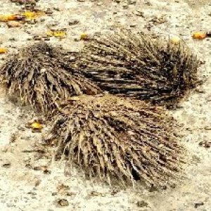 defect_test (98).jpg