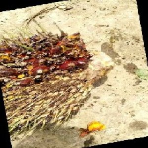 defect_train (1).jpg