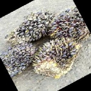 unripe_train (520).jpg