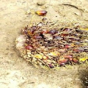 defect_valid (10).jpg