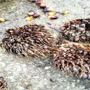 defect_valid (104).jpg