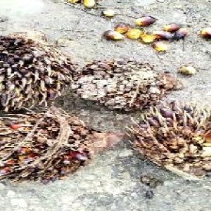 defect_valid (106).jpg