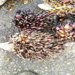 defect_valid (110).jpg