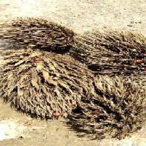 defect_valid (118).jpg