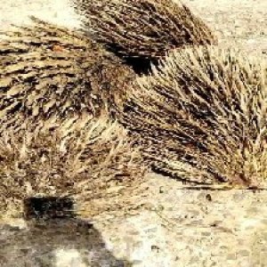 defect_valid (122).jpg