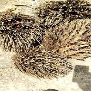 defect_valid (123).jpg