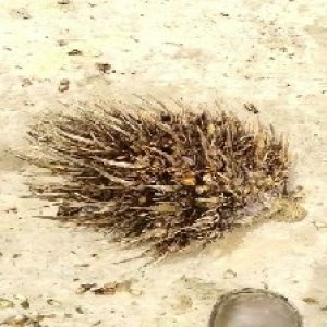 defect_valid (140).jpg