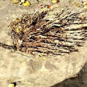 defect_valid (143).jpg