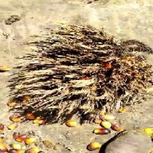 defect_valid (145).jpg