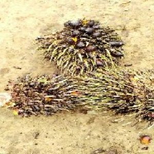 defect_valid (151).jpg