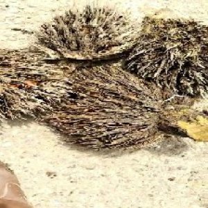 defect_valid (157).jpg