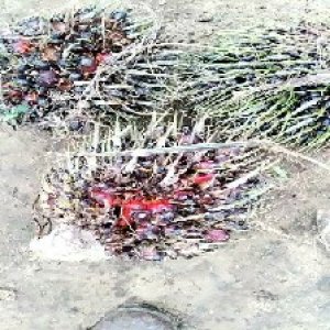 defect_valid (160).jpg