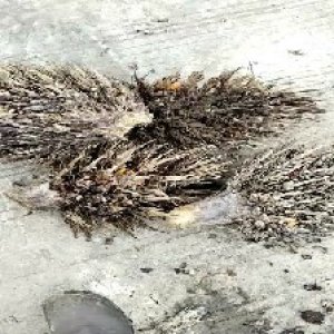 defect_valid (168).jpg