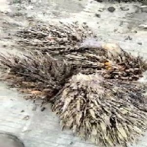 defect_valid (171).jpg