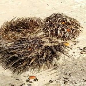 defect_valid (18).jpg