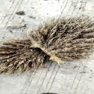 defect_valid (180).jpg