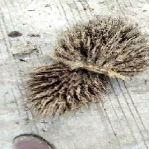 defect_valid (181).jpg