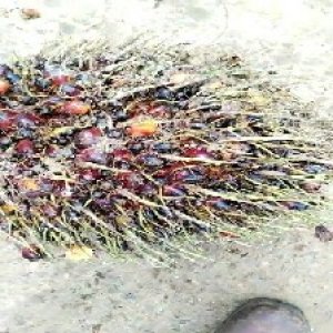 defect_valid (186).jpg