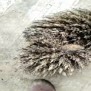 defect_valid (195).jpg