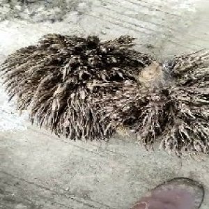 defect_valid (196).jpg