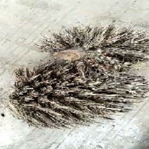 defect_valid (198).jpg