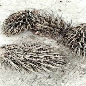 defect_valid (201).jpg