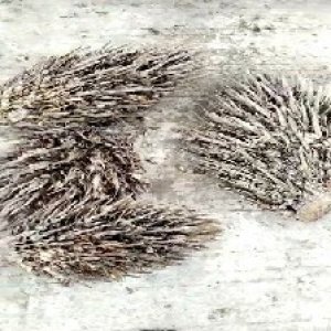 defect_valid (203).jpg