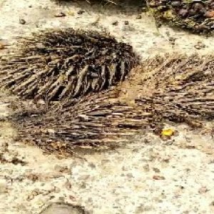 defect_valid (210).jpg