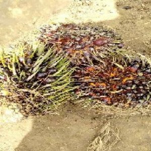 defect_valid (214).jpg