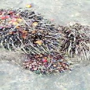 defect_valid (220).jpg