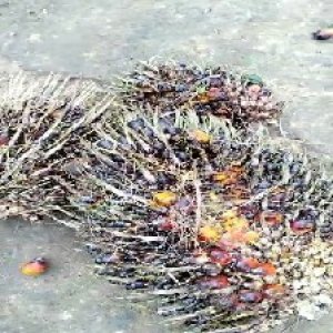 defect_valid (223).jpg