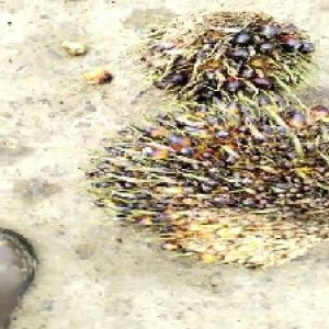 defect_valid (226).jpg