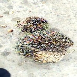 defect_valid (227).jpg