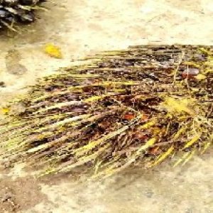 defect_valid (23).jpg