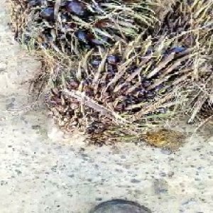 defect_valid (62).jpg