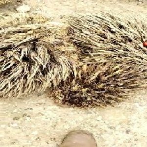 defect_valid (64).jpg